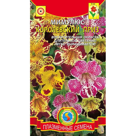 Мимулюс Королевский приз Плазма Ц