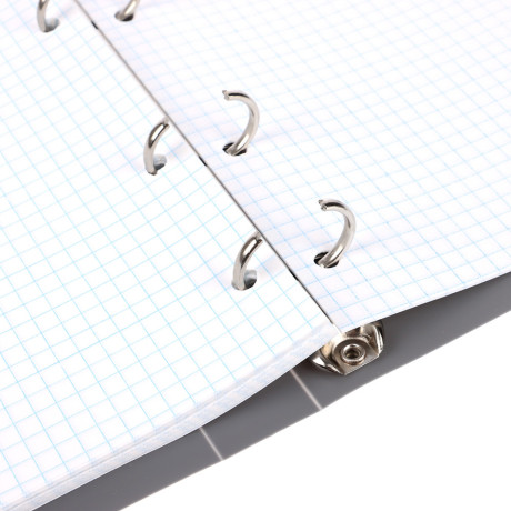 Тетрадь на кольцах А5, 80 л., клетка, обложка пластик, белый блок