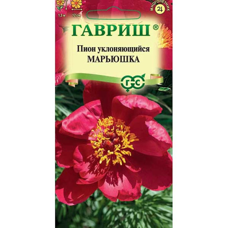 Пион Марьюшка Гавриш Цх10