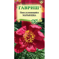 Пион Марьюшка Гавриш Цх10