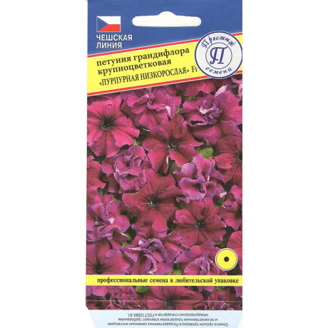 Петуния Пурпурная Престиж Ц