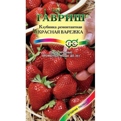 Земляника Красная варежка Гавриш Ц