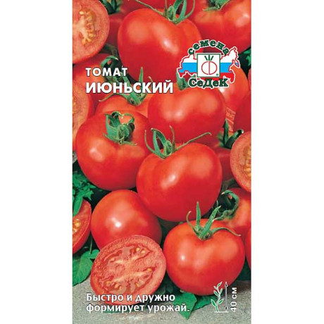 Семена Томат Июньский Седек