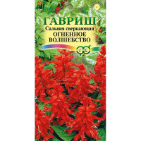 Сальвия Огненное волшебство Гавриш Ц