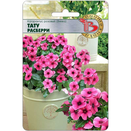 Катарантус Тату Расберри Биотехника Ц