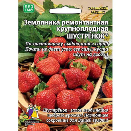 Земляника Шустрёнок б/ф Марс Ц