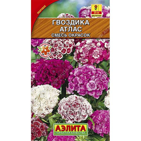 Гвоздика Турецкая Атлас махр.смесь Аэлита Ц
