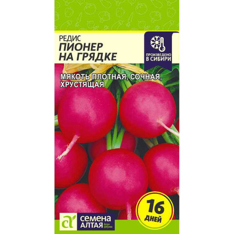 Редис Пионер на грядке СемАлт Ц