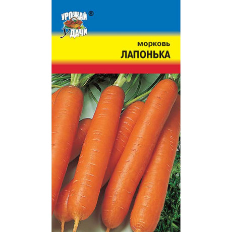 Морковь Лапонька Урожай у дачи Ц
