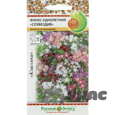 Флокс Созвездие однолетний НК Ц