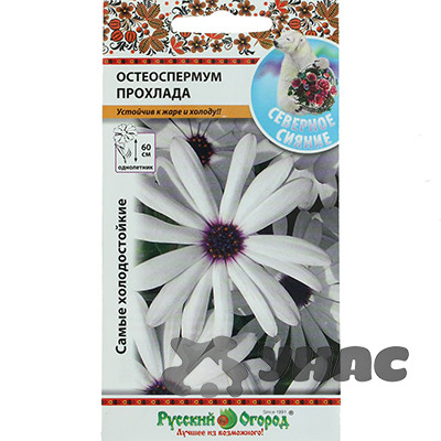 Остеоспермум Прохлада НК Ц