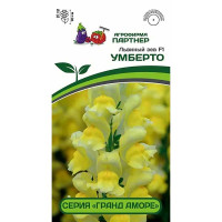 Львиный Зев Гранд Аморе Умберто Партнер Ц