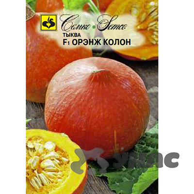 Тыква Оранж Колон Семко Ц