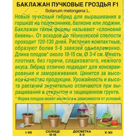 Баклажан Пучковые гроздья Аэлита