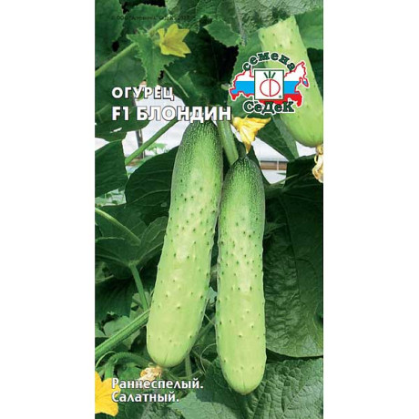 Огурец Блондин Седек Ц