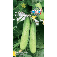 Огурец Блондин Седек Ц
