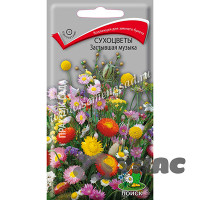 Сухоцветы Застывшая музыка Поиск Ц х10