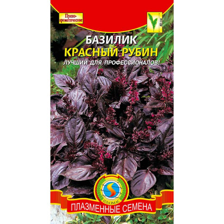Базилик Красный Рубин Плазма Ц