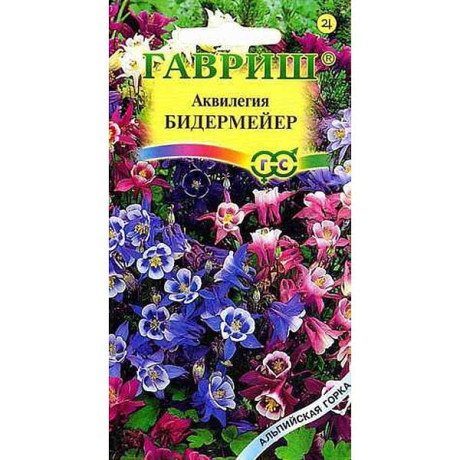 Аквилегия Бидермейер  Гавриш Ц