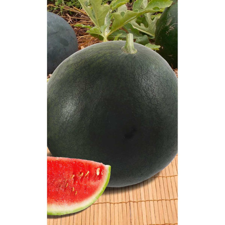Арбуз Огонек 1г Садовита Ц