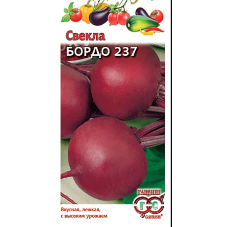 Свекла Бордо  Гавриш Ц
