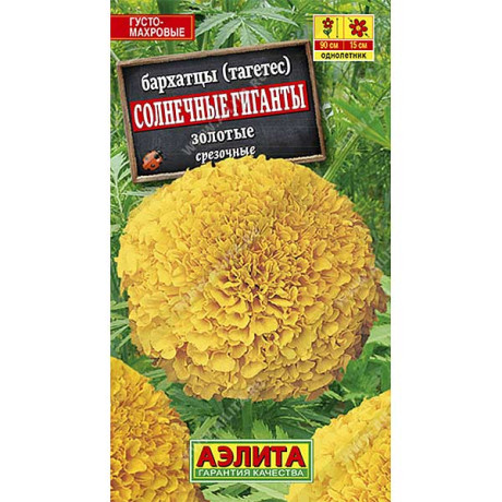 Бархатцы Солнечные гиганты золотые  Аэлита Ц