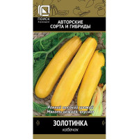 Кабачок Золотинка Поиск Ц
