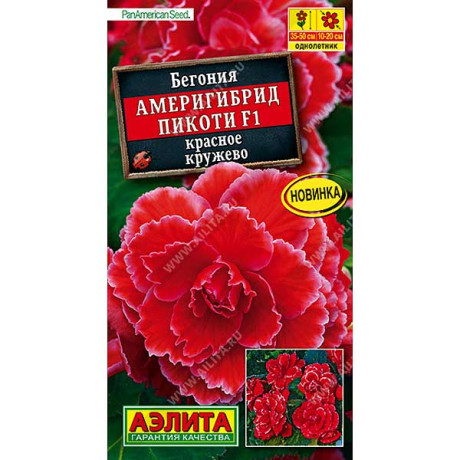 Ком Бегония Америгибрид Пикоти Красное кружево Аэлита Ц