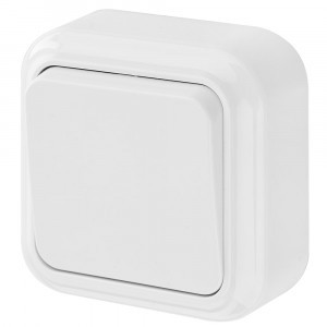 Bylectrica ПРАЛЕСКА выкл. ОУ 1 кл. 6А бел. (пластик) А16-131