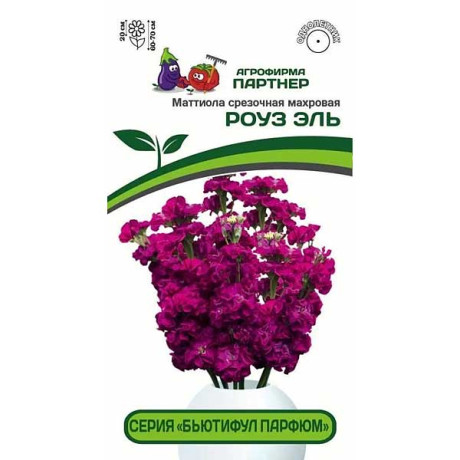 Маттиола Бьютифул Парфюм Роуз Эль Партнер Ц