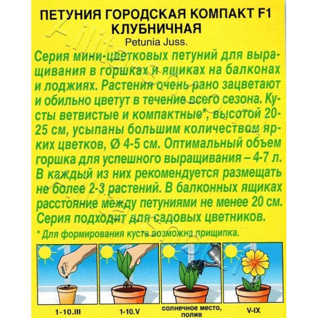 Петуния Городская компакт клубничная Аэлита