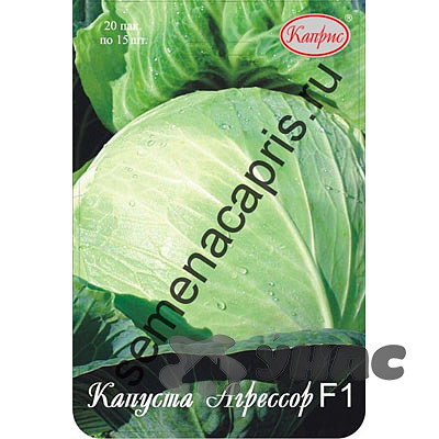 Капуста Агрессор (Нидерланды) Каприс