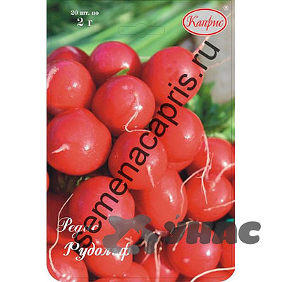 Редис Рудольф (Нидерланды) Каприс