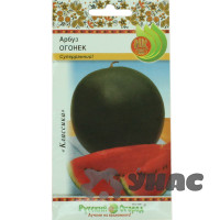 Арбуз Огонек НК Ц