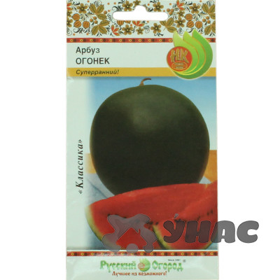 Арбуз Огонек НК Ц