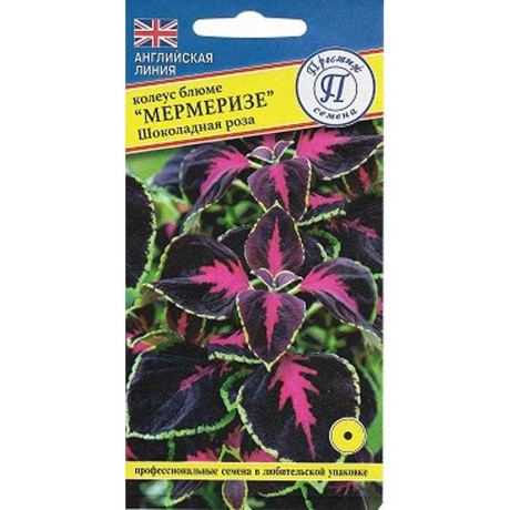 Колеус Забава смесь блюме Престиж Ц