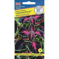 Колеус Забава смесь блюме Престиж Ц