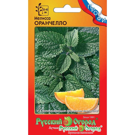 Мелисса Оранчелло НК Ц