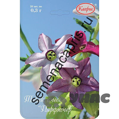 К Табак Парфюмер (Нидерланды) Каприс