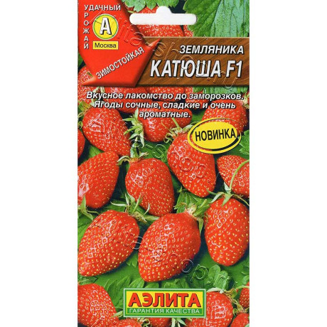 Земляника Катюша Аэлита