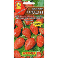 Земляника Катюша Аэлита