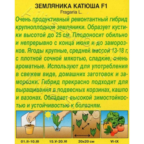 Земляника Катюша Аэлита