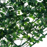 INBLOOM Изгородь искусственная Ряска 40×60см, PE