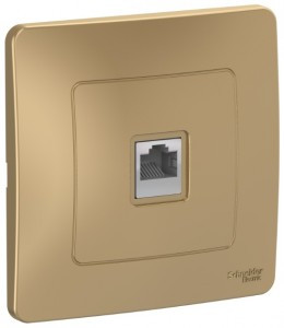 Systeme Electric BLANCA роз. комп. СУ 1 мест. титан (пл.осн., RJ45, кат.5E) BLNIS045004 (5!)