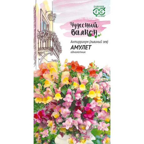 Львиный зев Амулет (Чудес балкон) Гавриш Ц