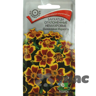 Бархатцы Шаловливая Мариэтта Поиск Ц