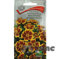 Бархатцы Шаловливая Мариэтта Поиск Ц