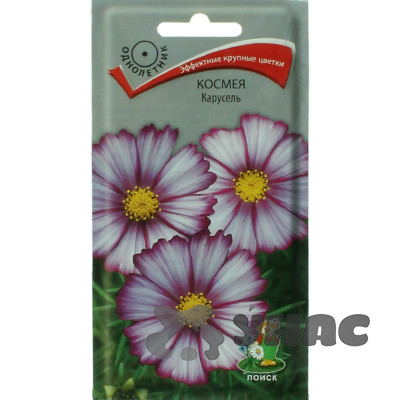 Космея Карусель Поиск Ц