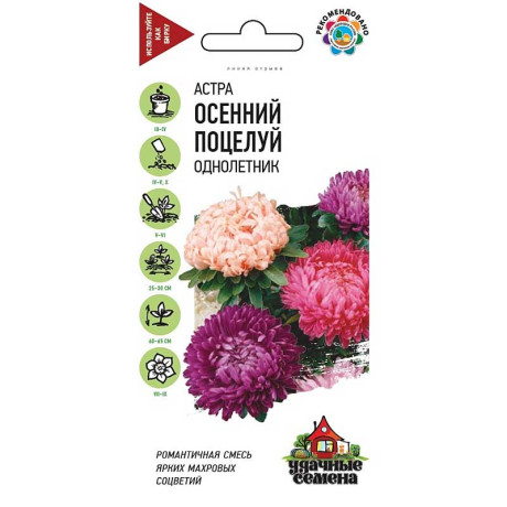 Астра Осенний поцелуй Удачные Семена Гавриш Ц