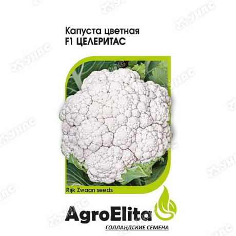 Капуста цв. Целеритас Гавриш Ц